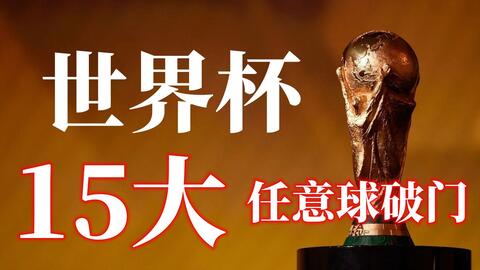 还提供无与