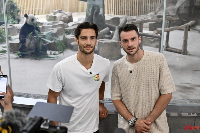 灭的印记 灭的印记